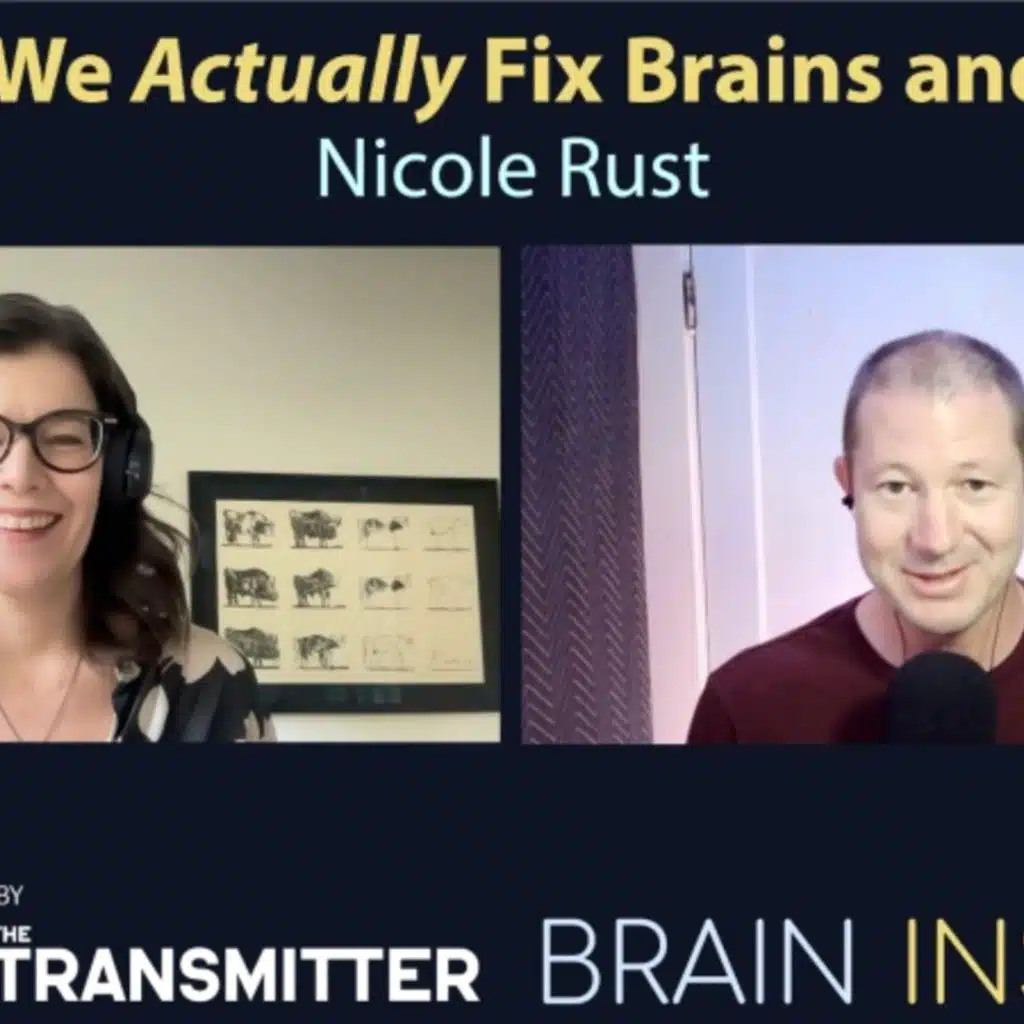 BI 214 Nicole Rust: How To Actually Fix Brains and Minds