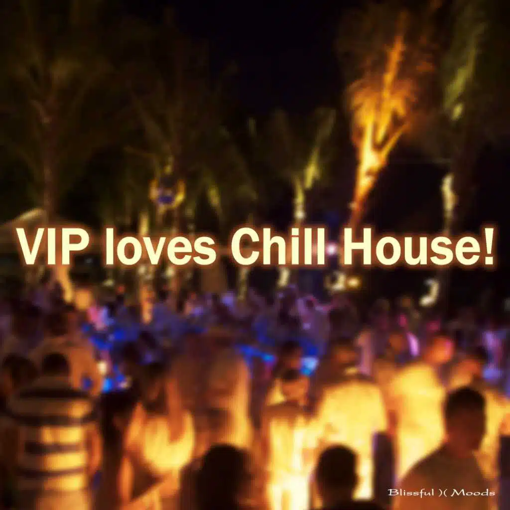 V.I.p. Loves Chill House!