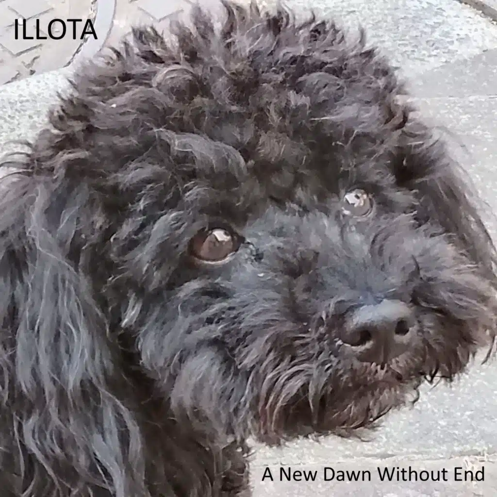 ILLOTA