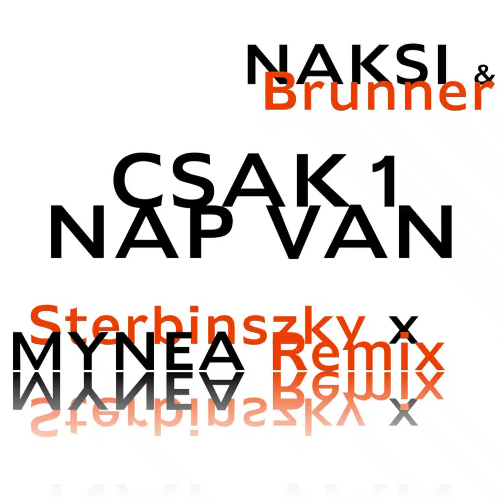 Brunner & Naksi