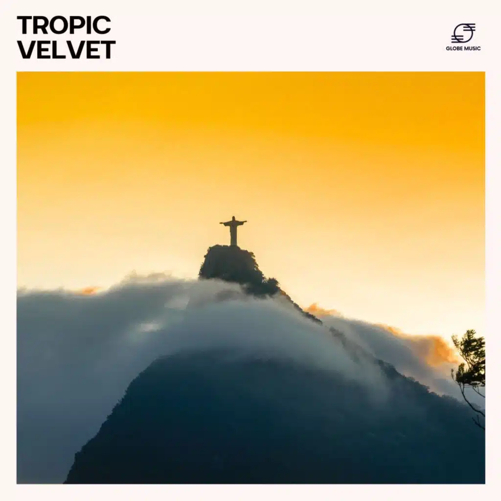 Bossa Nova Project, Bossa Nova Bliss, Bossa Deluxe & Bossa Nova Guitar