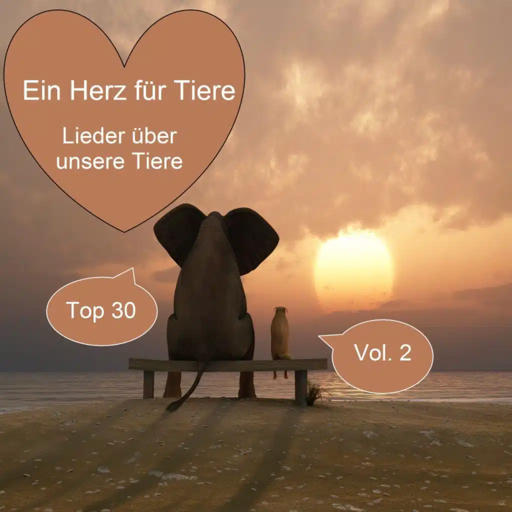 Erich Storz & Die Original Harzer Musikanten