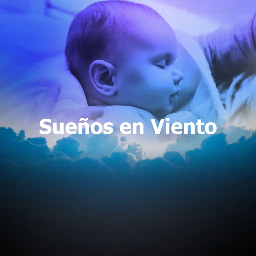 Sueños en Viento