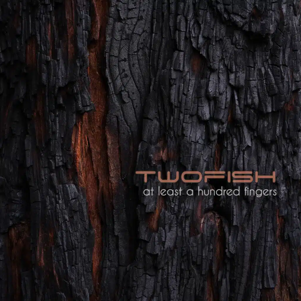 At least a hundred fingers