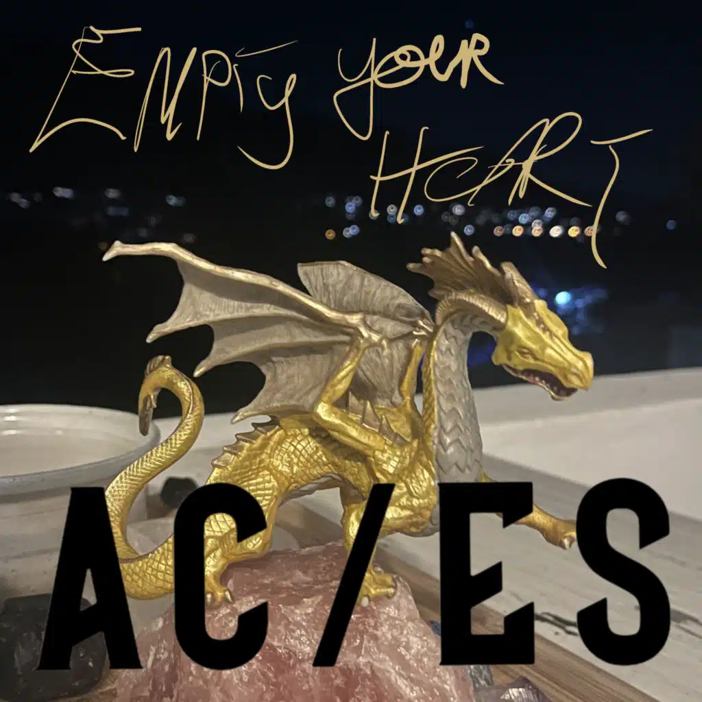 AC/ES, Arno Carstens & Evert Snyman