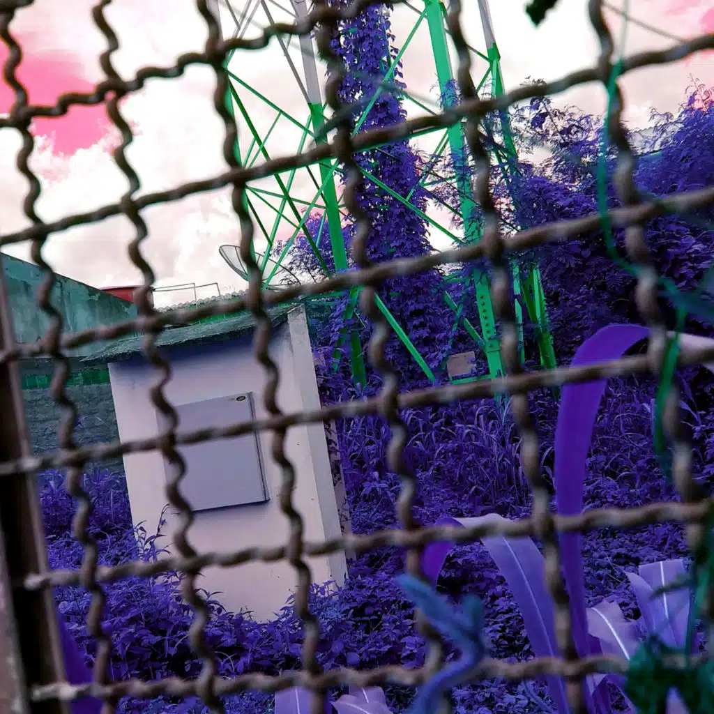 1001 Noites no Civico (feat. PUNKMiC & GREYBOY)