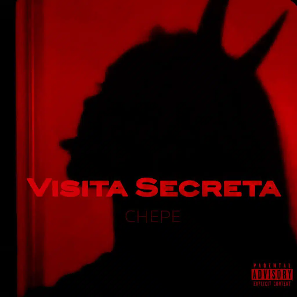Visita Secreta