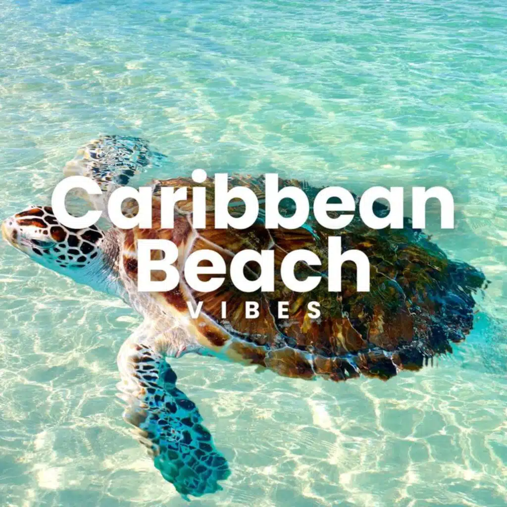 Caribbean Beach Vibes