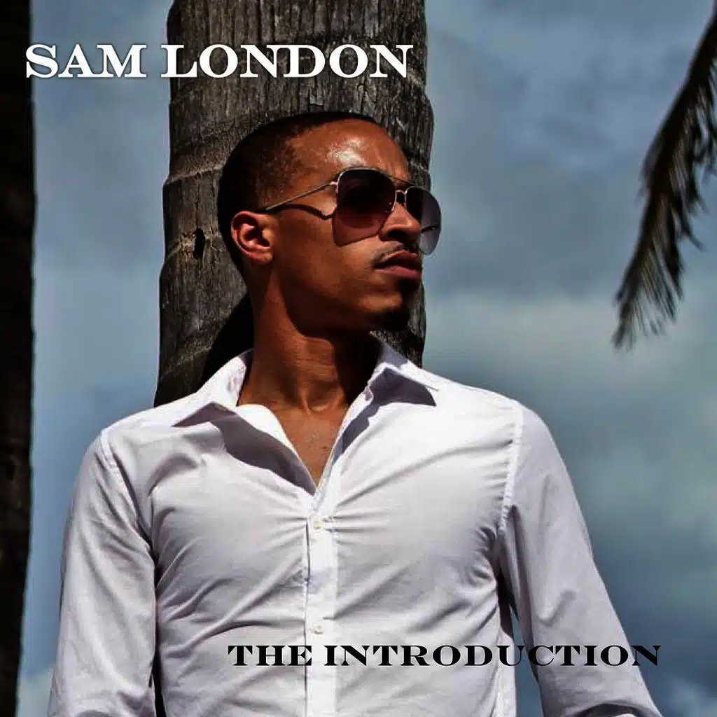 The Introduction - EP