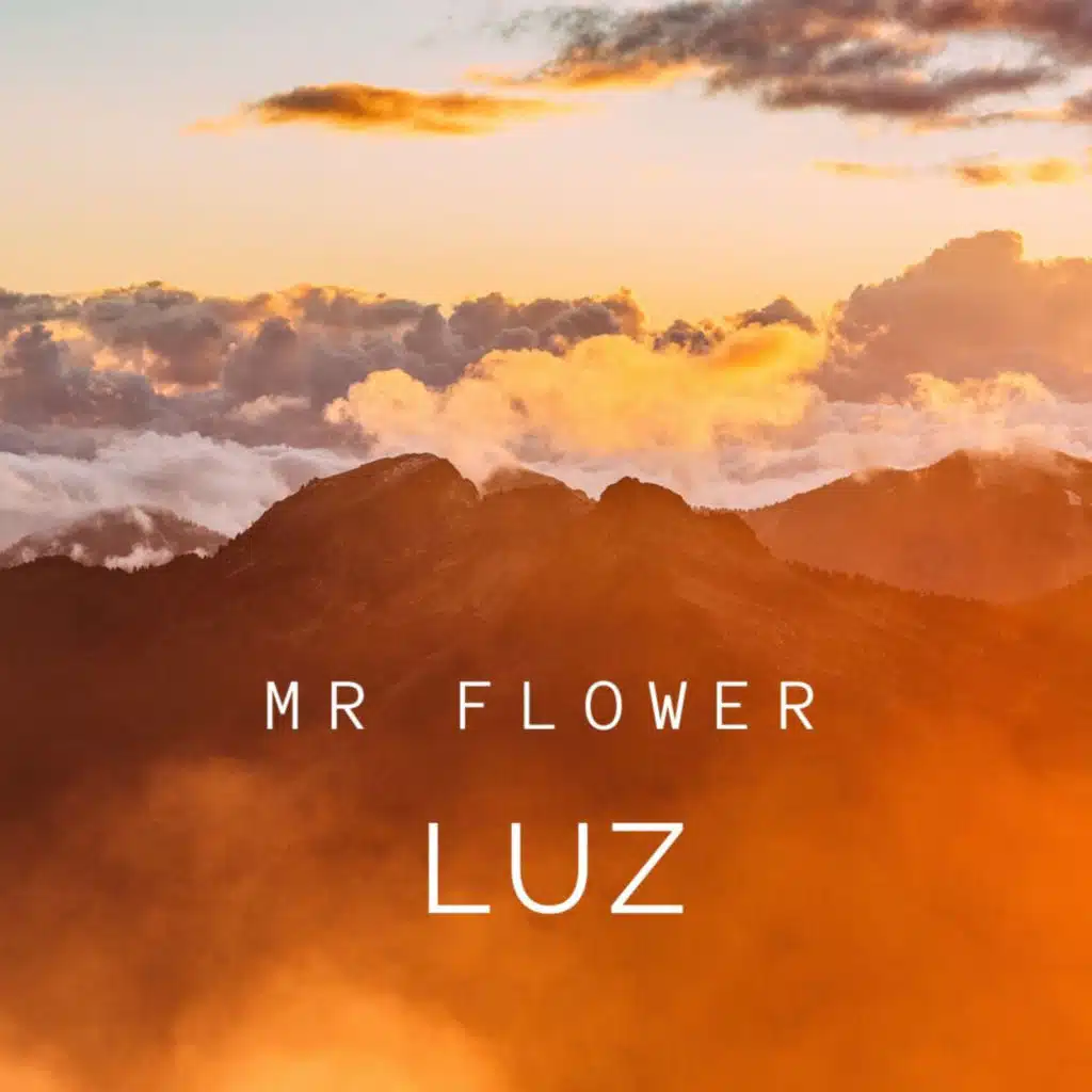 Mr. Flower