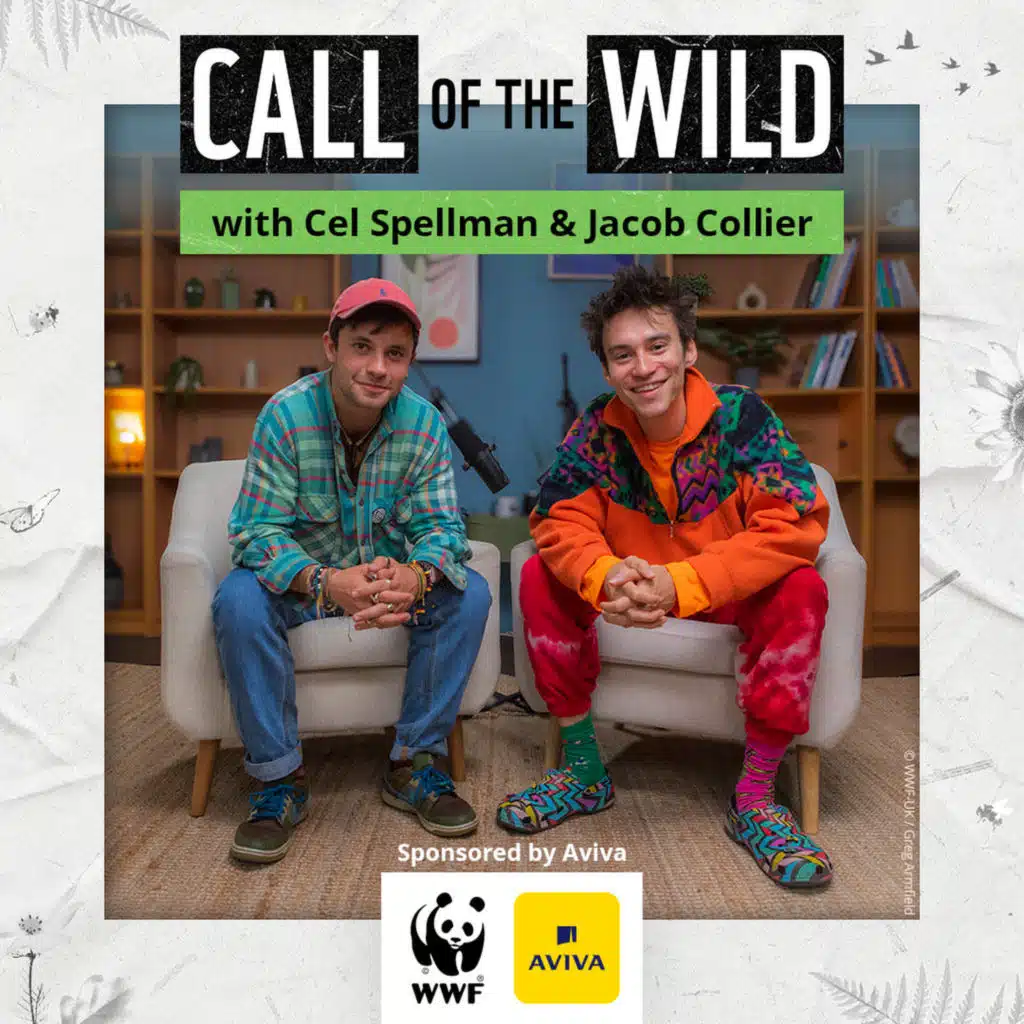 Jacob Collier on the noise of nature, being present, and climbing trees