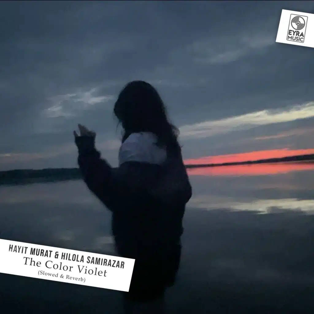 The Color Violet (Slowed & Reverb)