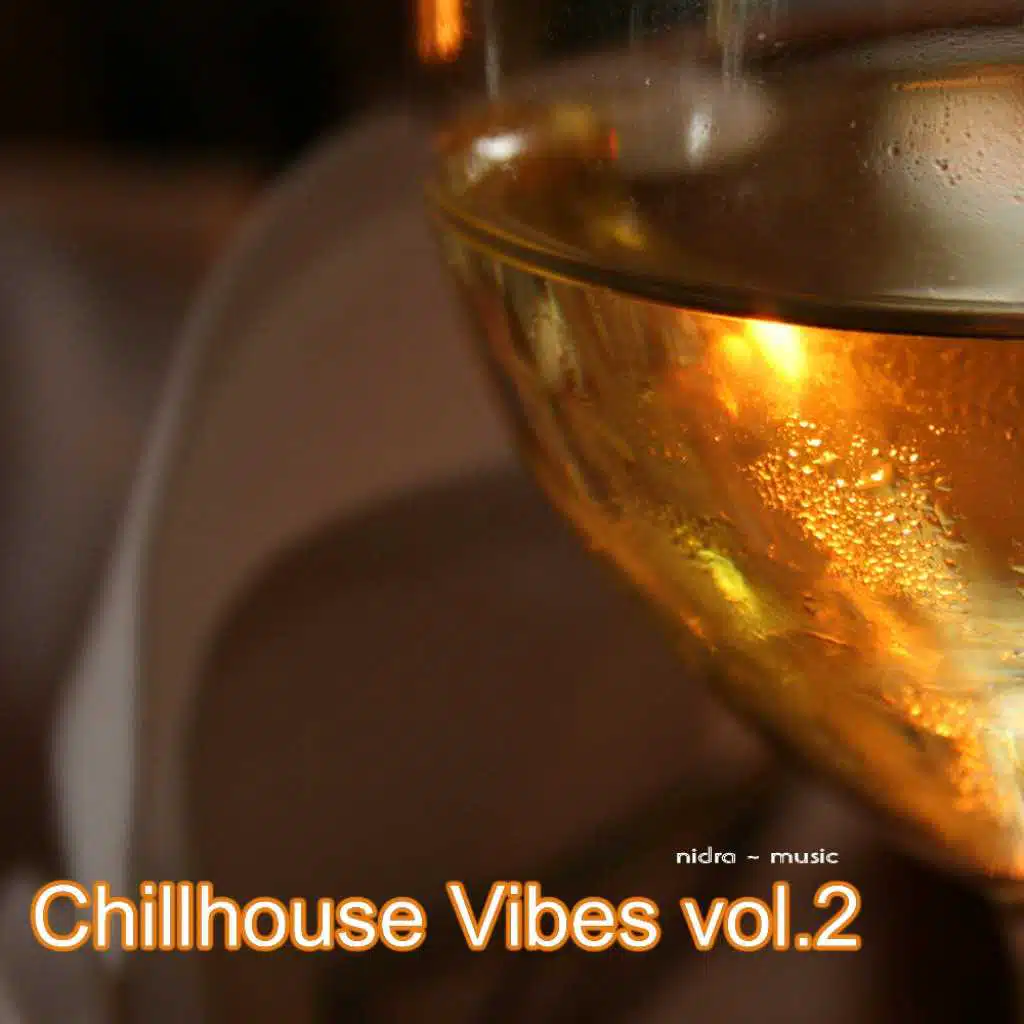 Chillhouse Vibes, Vol. 2
