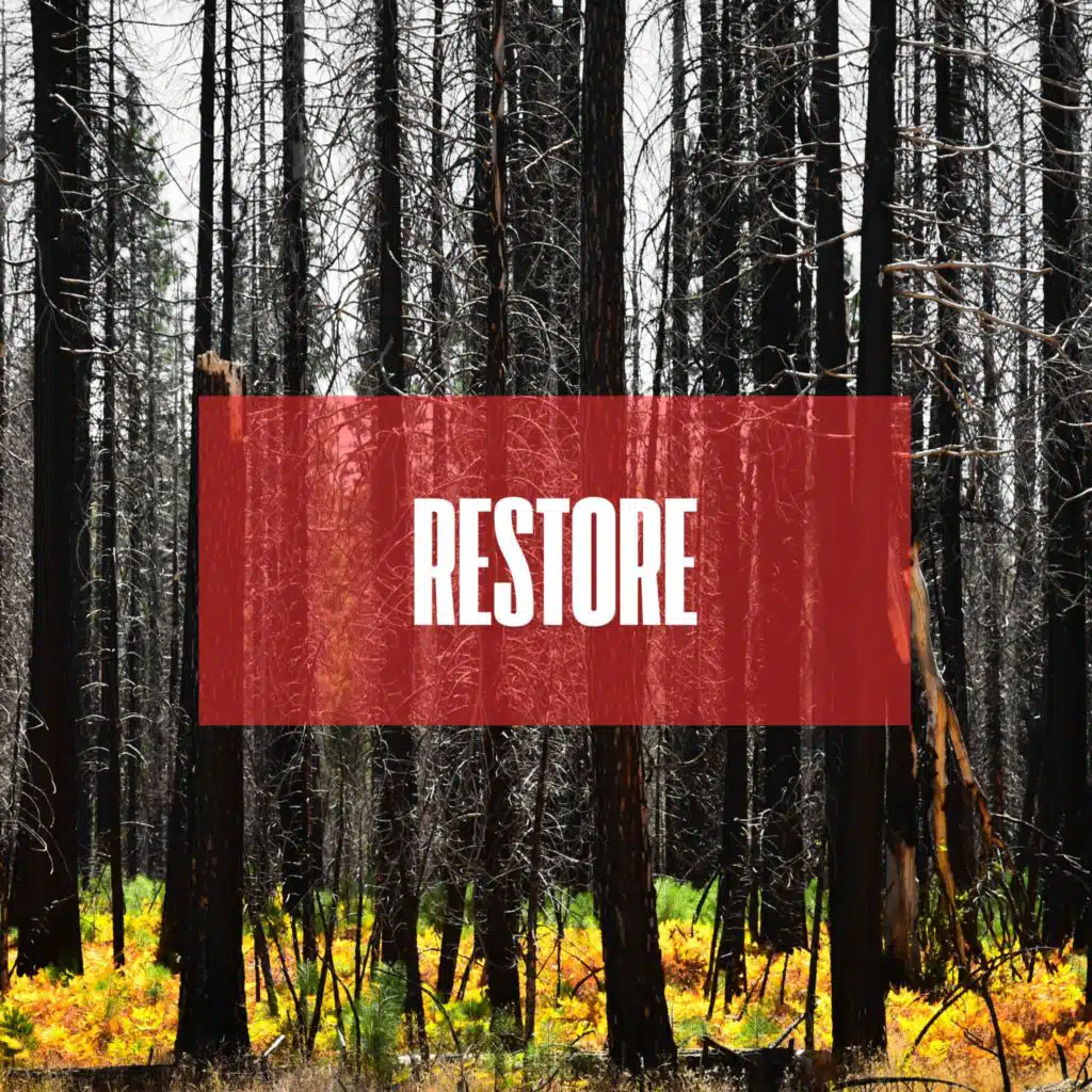 RESTORE