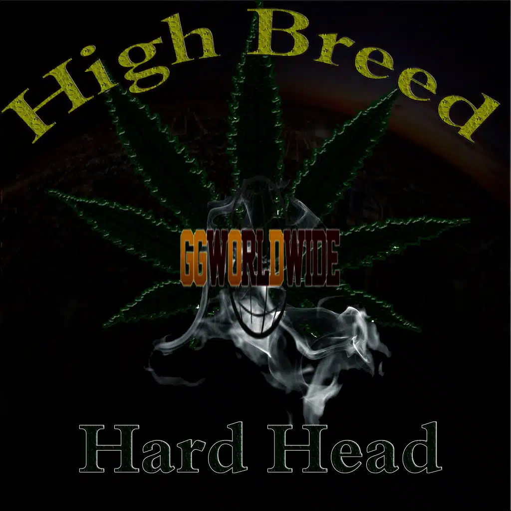 High Breed