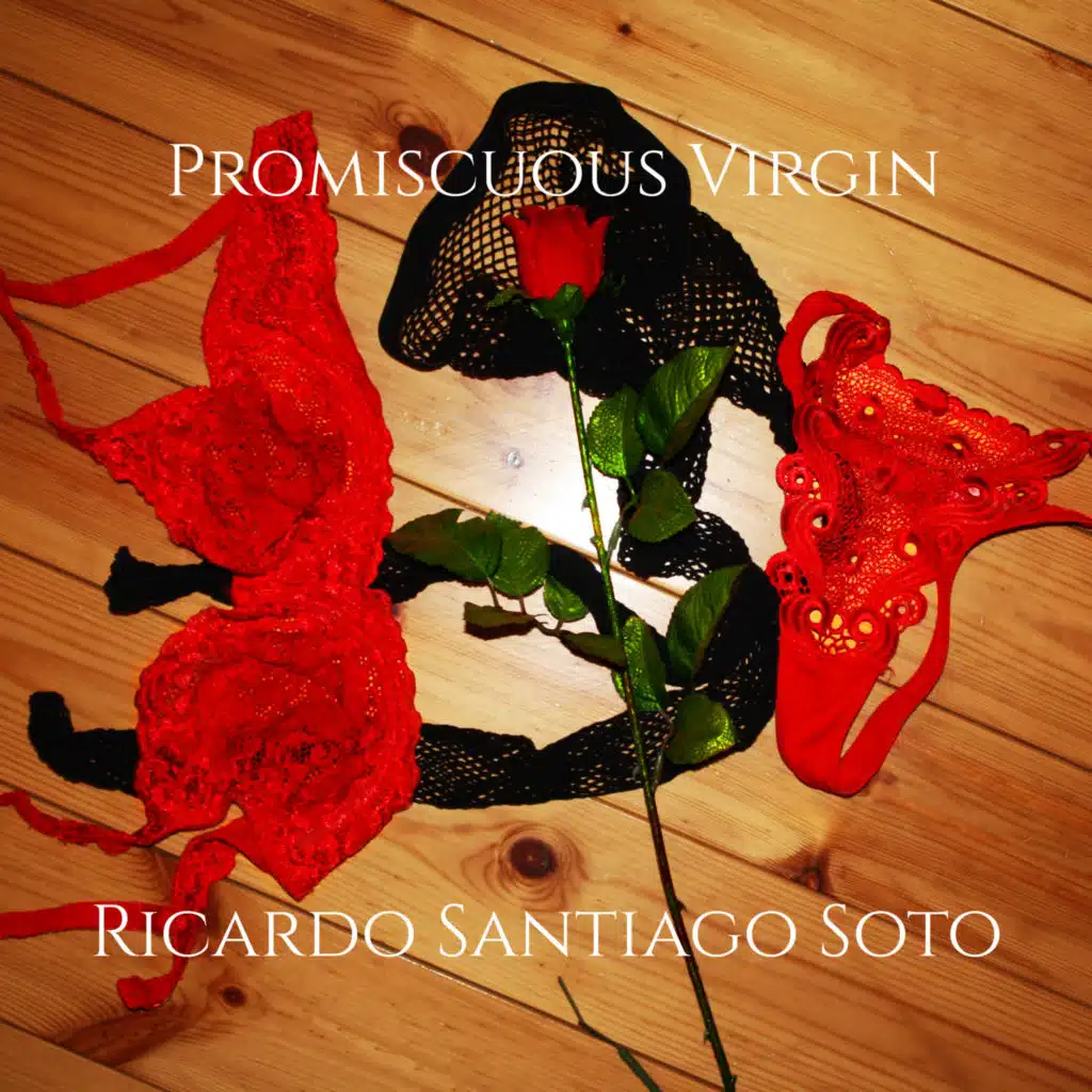 Ricardo Santiago Soto