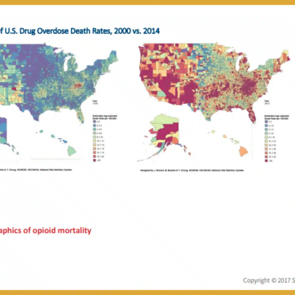 June 2025 Classic Edition - Opioid Overdose Deaths in the United States
