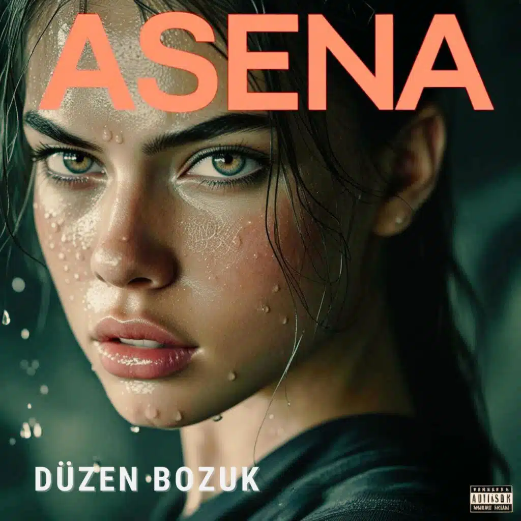 DÜZEN BOZUK