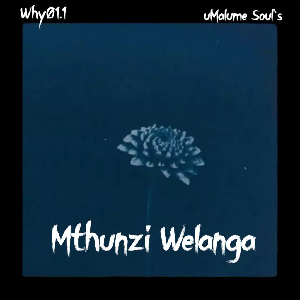 Mthunzi Welanga
