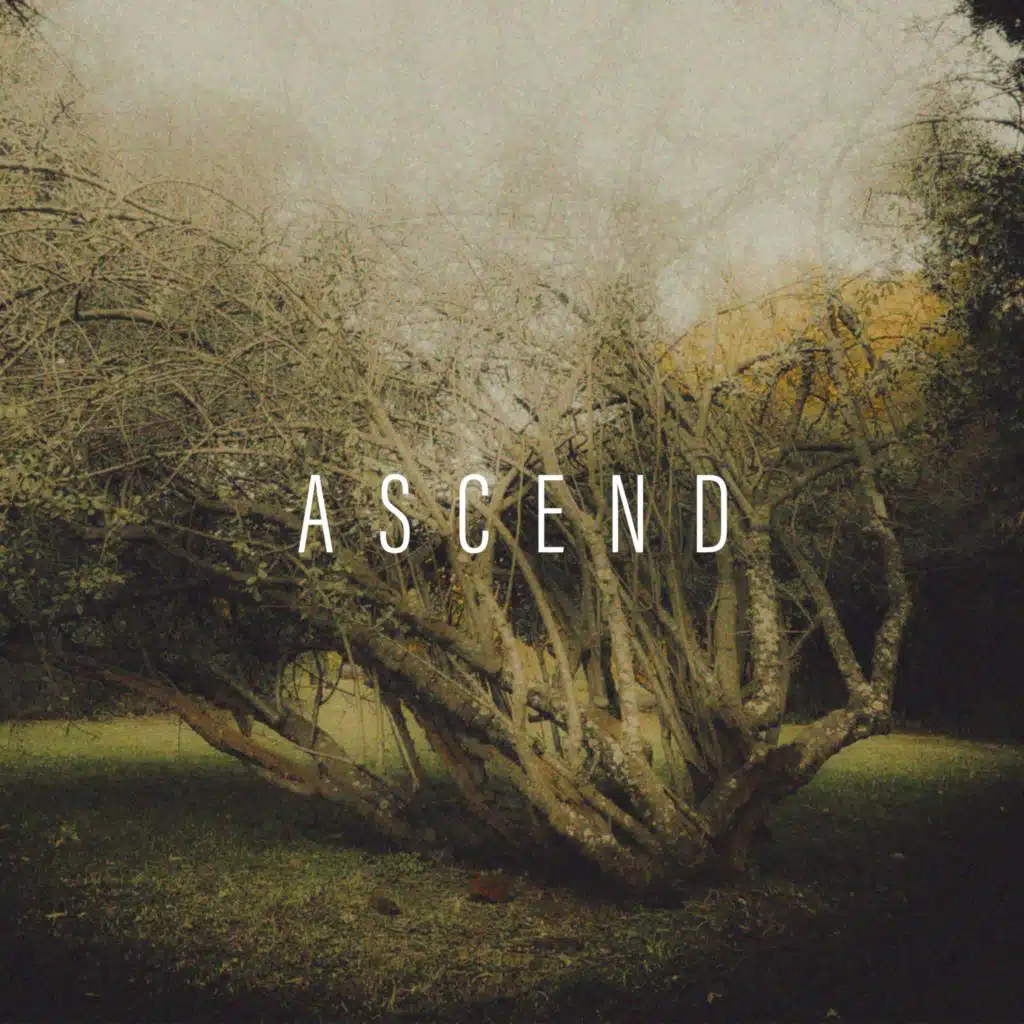 Ascend
