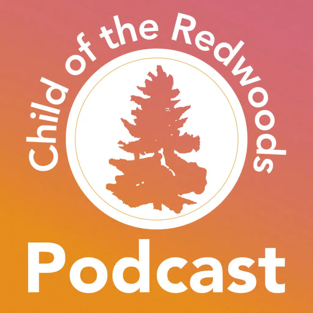 Is Montessori Too Rigid or Too Loose? Here’s the Truth.