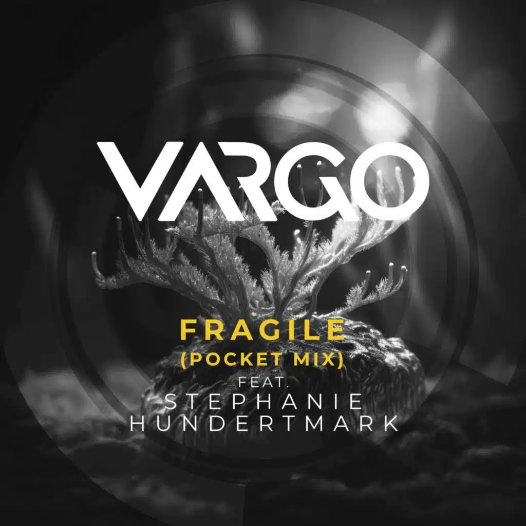 Fragile (Pocket Mix) [feat. Stephanie Hundertmark]