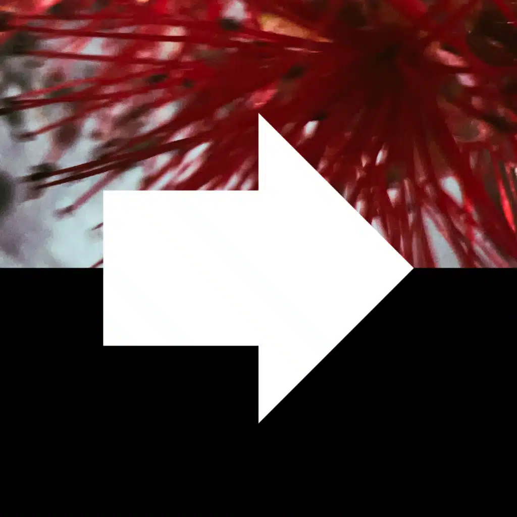 eight million ways to be lonely (mixtape#407)