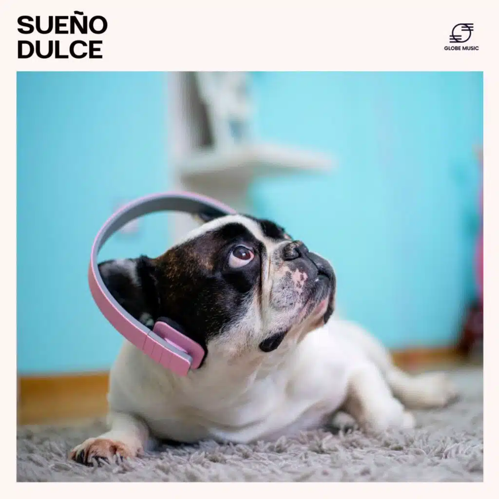 Música Para Perros, Música Relajante para Perrors, Relajante para Perrors & Club de Música para Perros