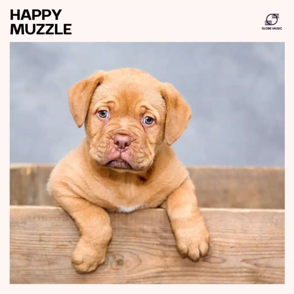 Happy Muzzle: Relaxing Pet Playlist