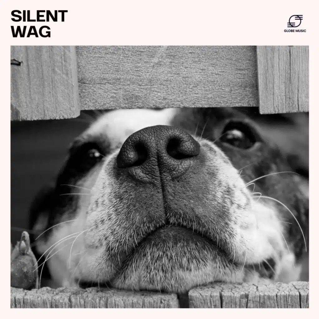 Silent Wag: Calming Dog Music