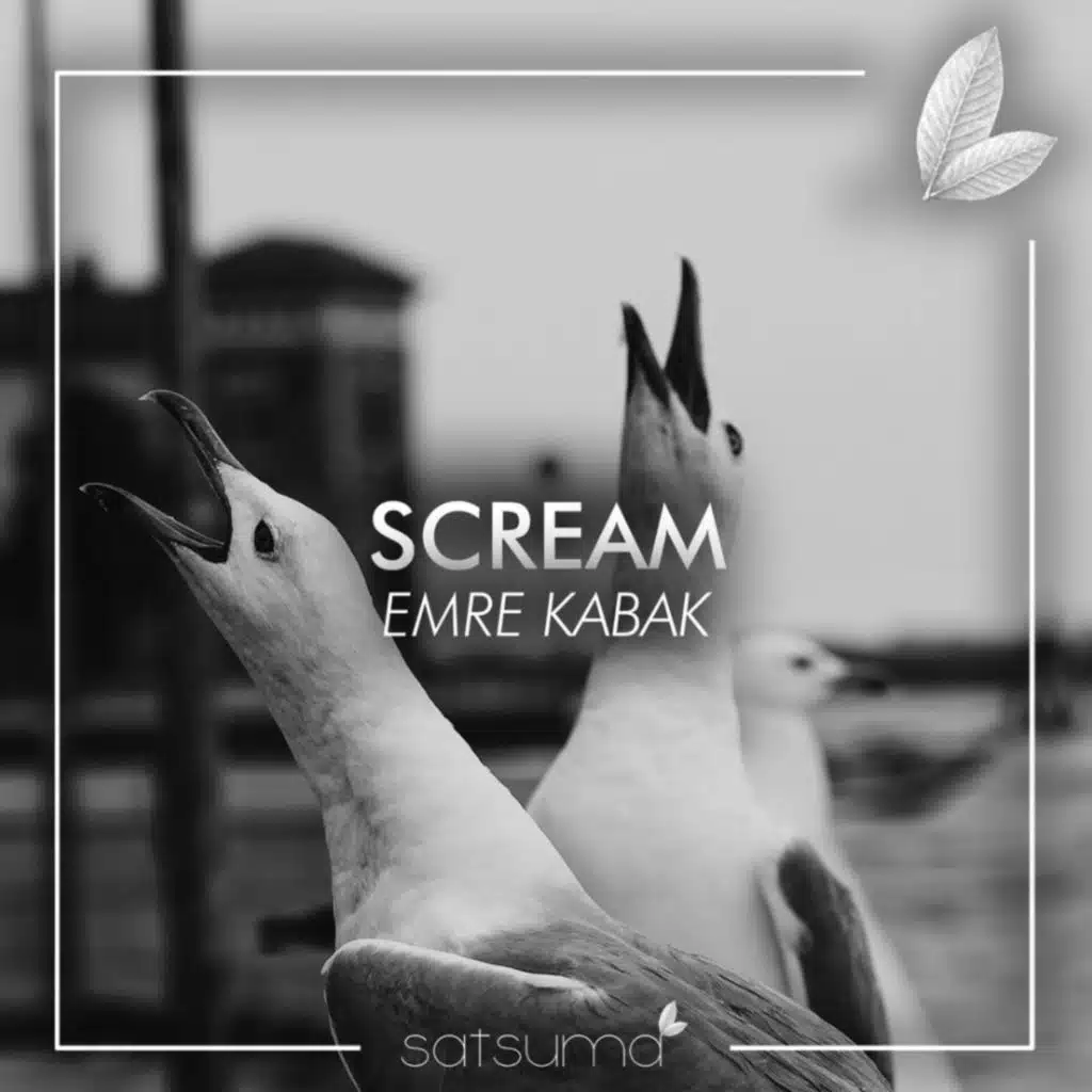 Scream