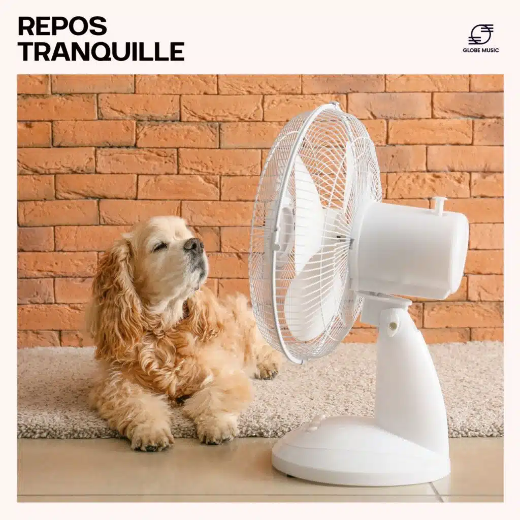 Musique de Chien TA, Therapie Animaux, Détente pour Animaux de Compagnie & Musique pour Chats