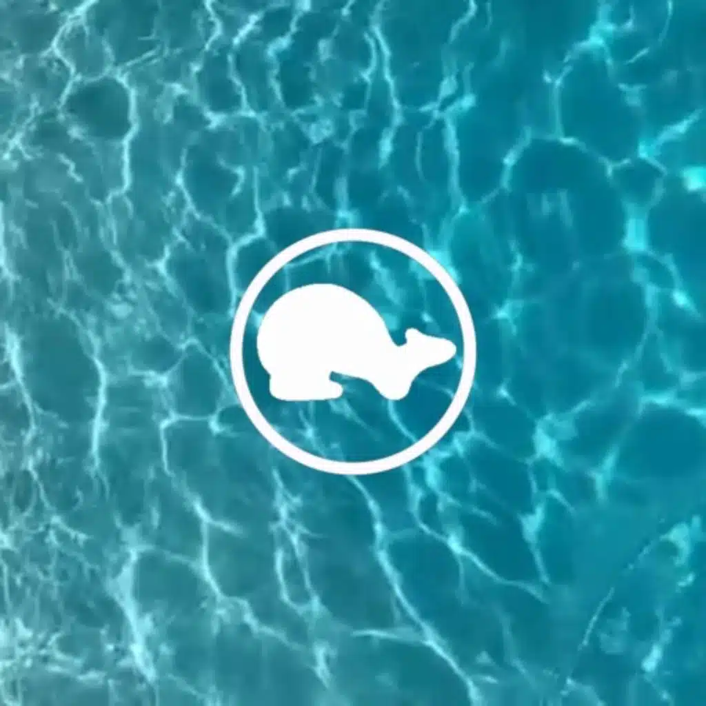 POOL PARTY PLAYLIST (2025)