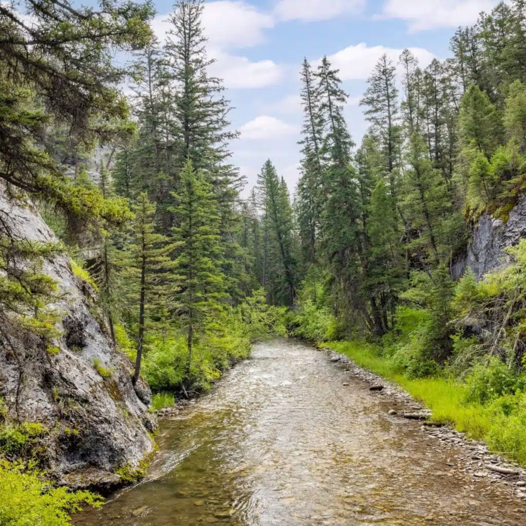 Middle Fork Judith River WSA