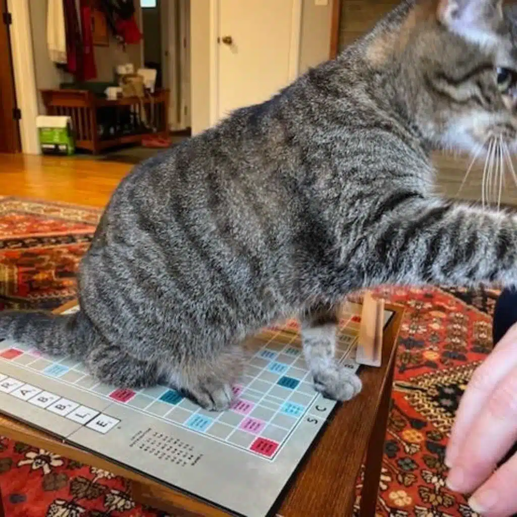 Episode 171: Poop and Protocol