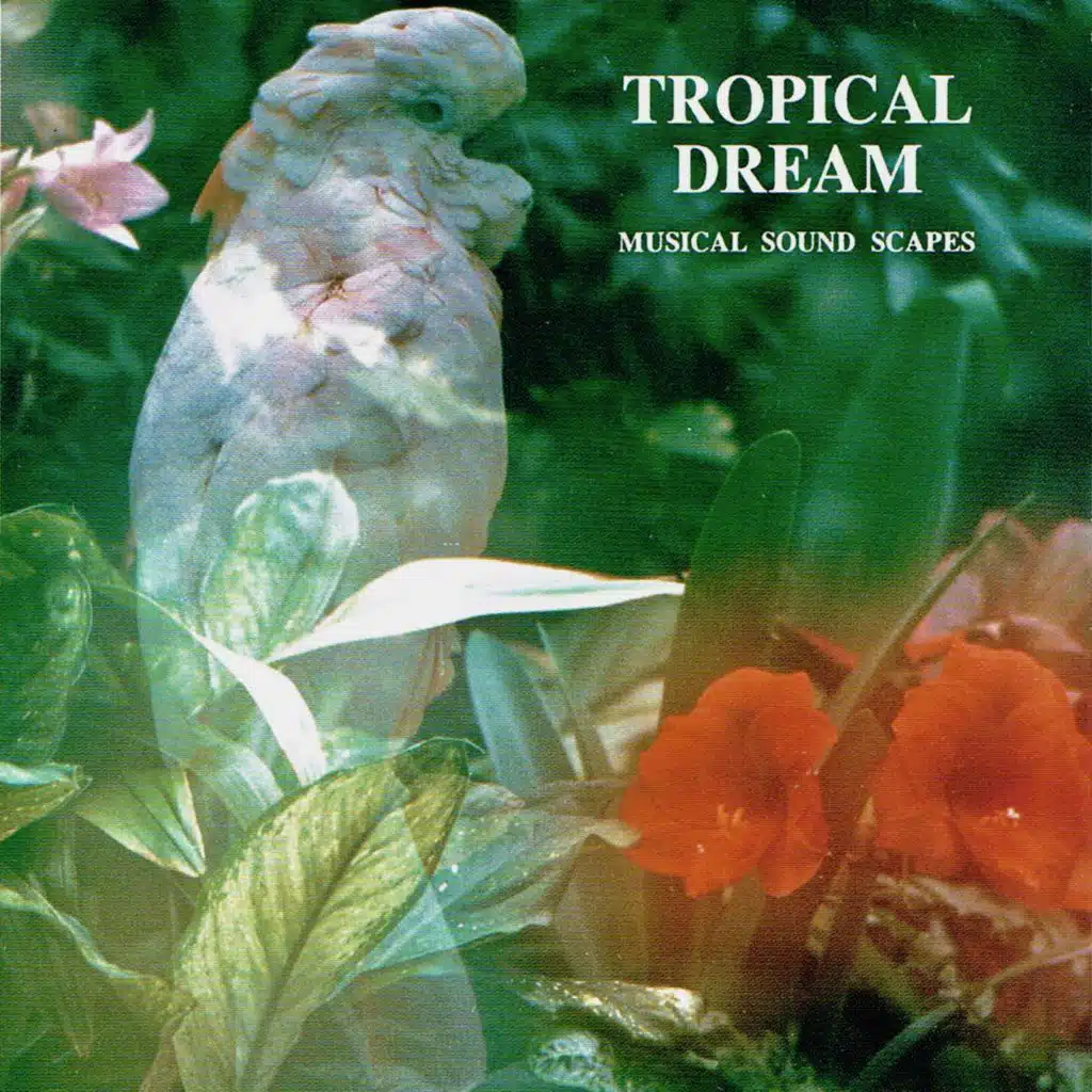 Tropical Dream
