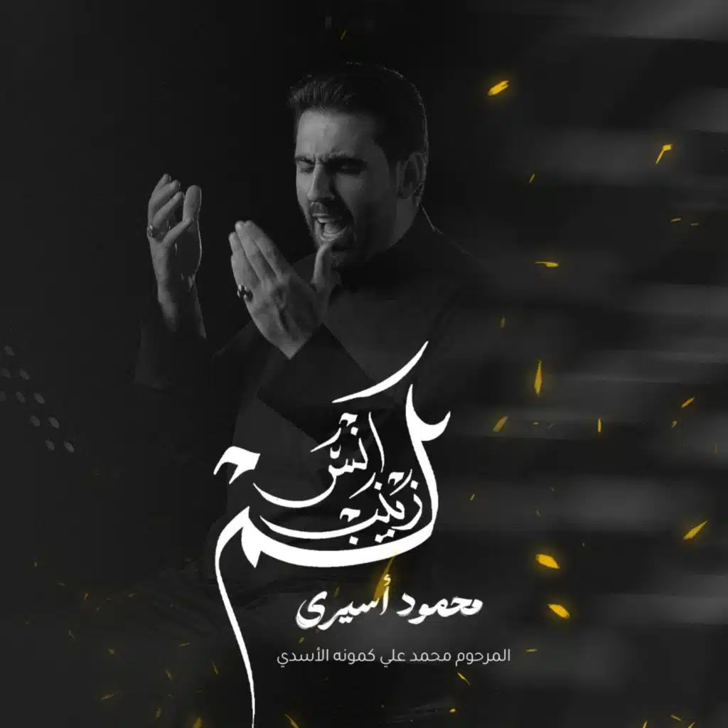 لم انس زينب