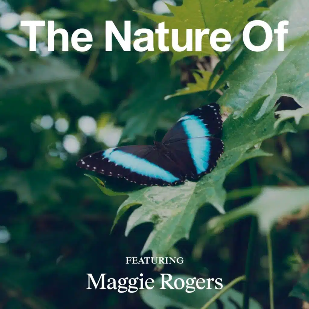 Maggie Rogers on How to Protect—and Nurture—Your Creativity