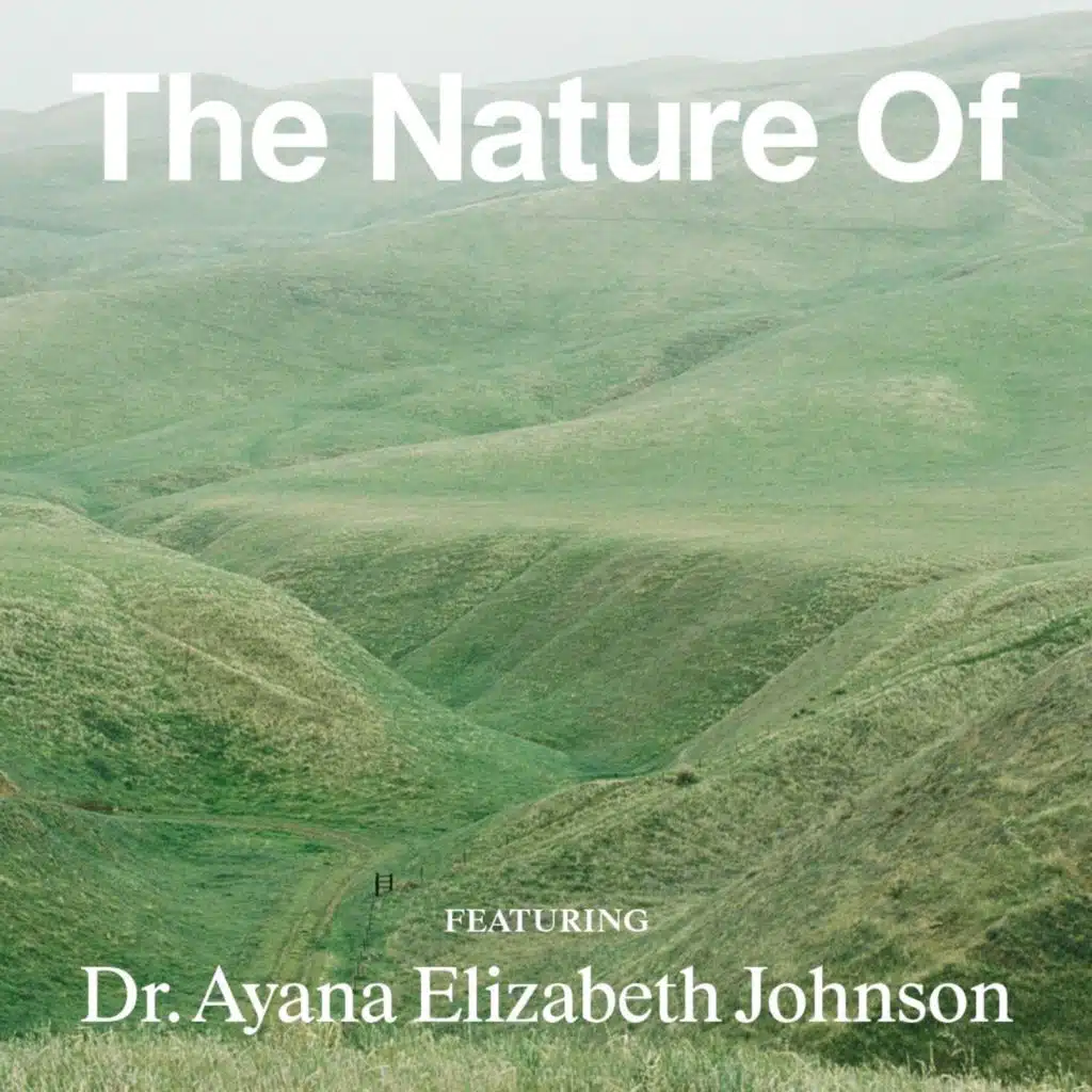 Ayana Elizabeth Johnson: Stop Doom-Scrolling, Start Building the Future