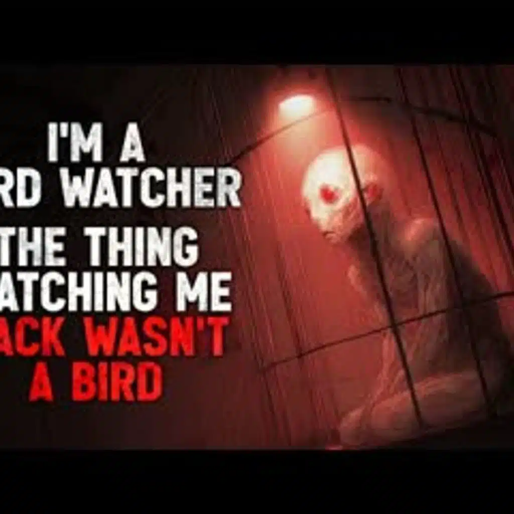 "I’m a Bird Watcher. But the Thing Watching Me Back in the Trees Wasn’t a Bird." Creepypasta