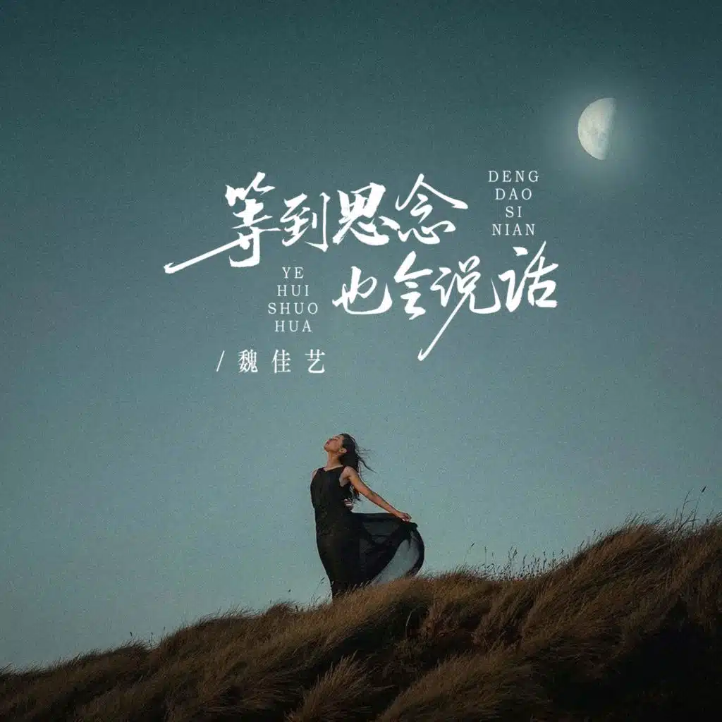 等到思念也会说话 (DJ阿越版)