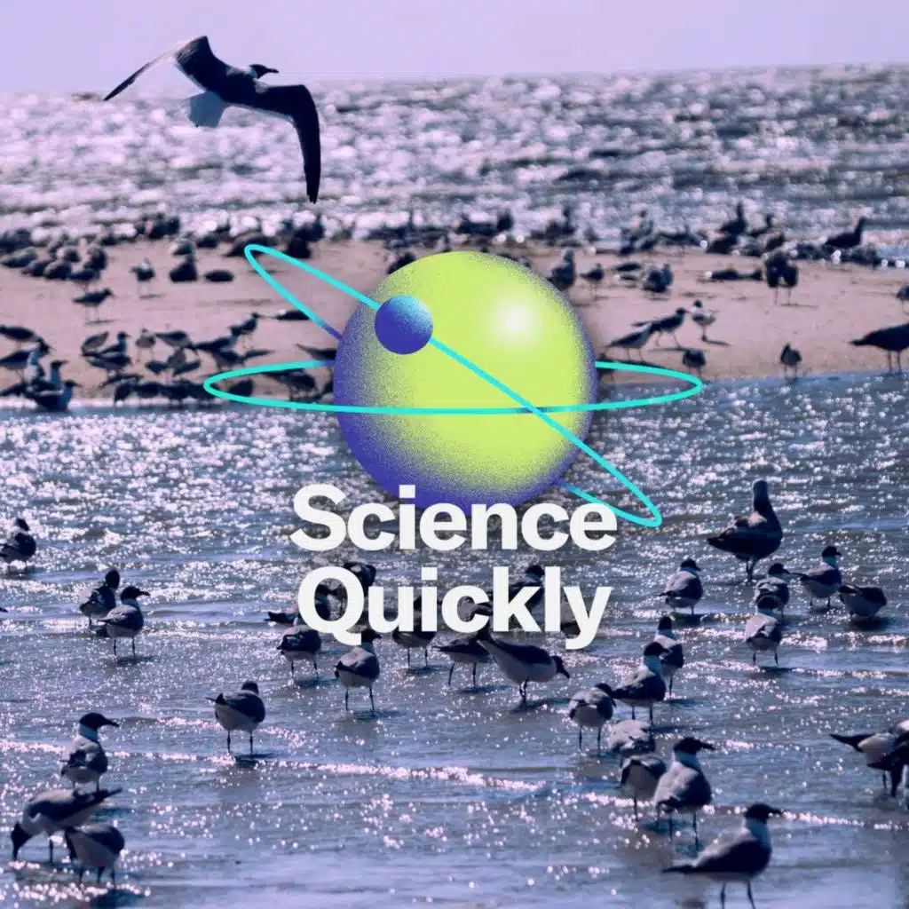 How Bird Flu Went from an Isolated Avian Illness to a Human Pandemic Threat (Part 1)