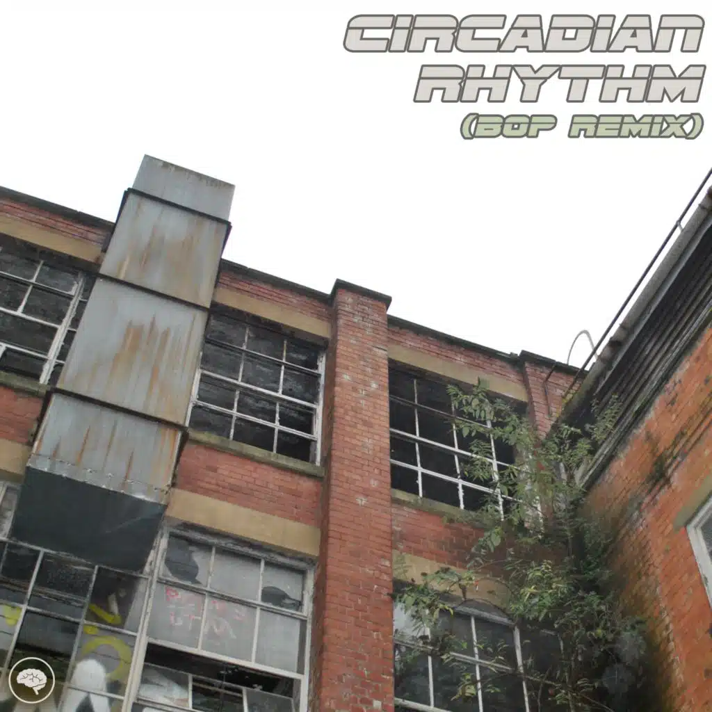 Circadian Rhythm (BOP Remix)