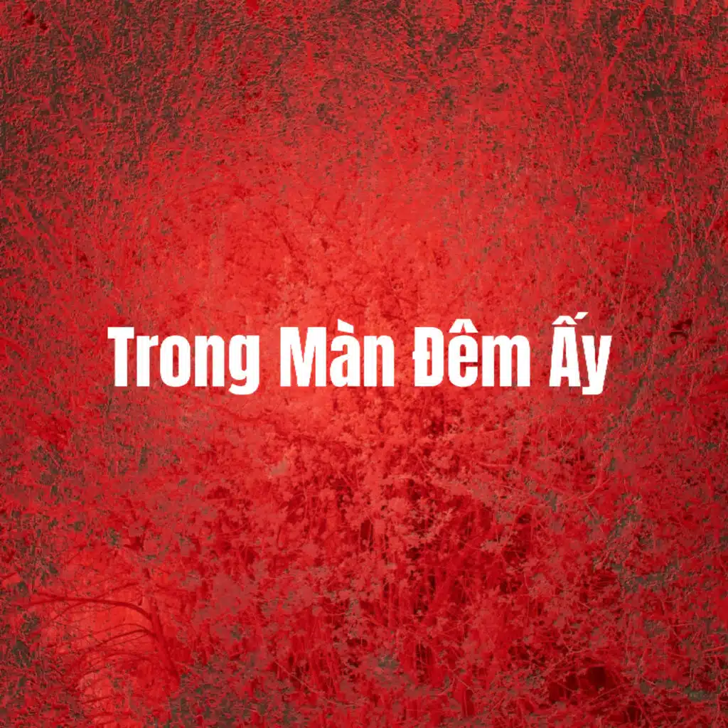 Trong Màn Đêm Ấy