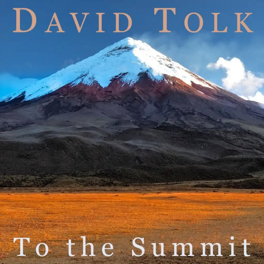 David Tolk