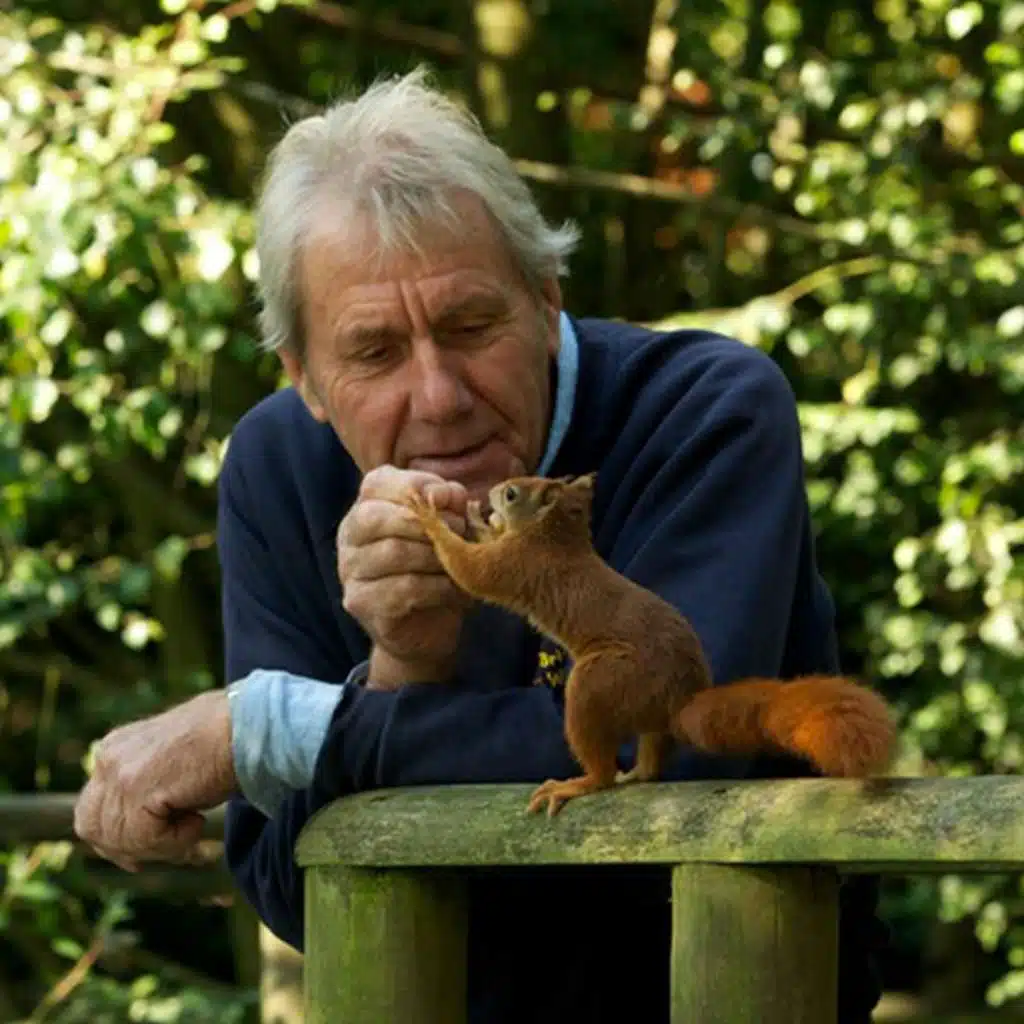 304. Meet some of the UK's most elusive animals - at the British Wildlife Centre
