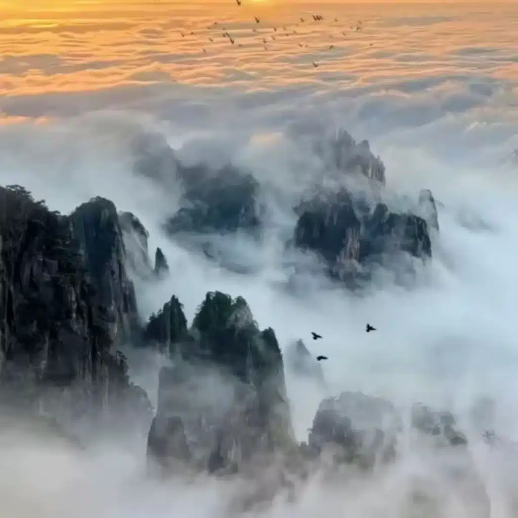 午睡专用丨解压放松纯音乐