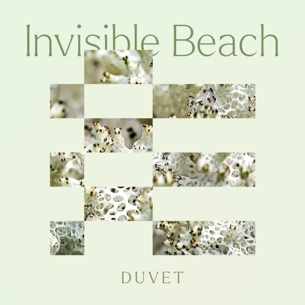 Duvet
