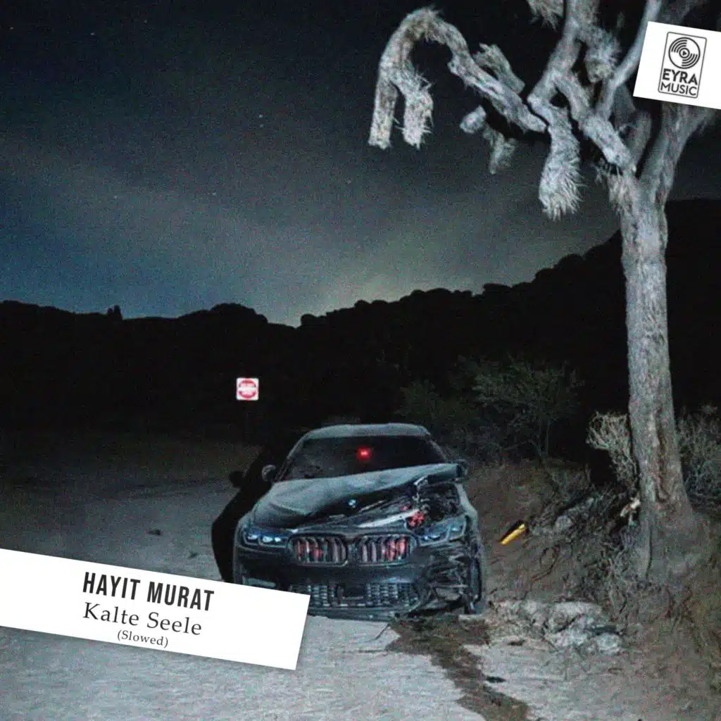 Kalte Seele (Slowed)