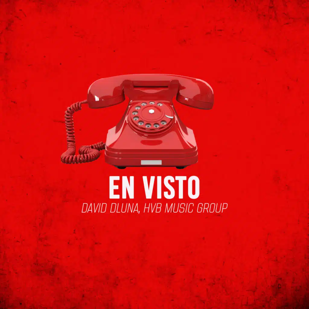 David Dluna & HVB MUSIC GROUP